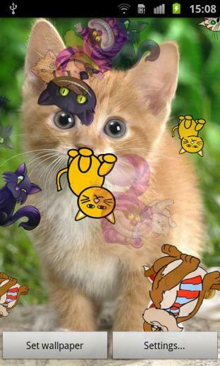 Kitty Cat Live Wallpaper Android Apps On Google Play
