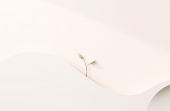 Minimalist Aesthetic Wallpaper