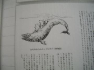User Lamango Found More Unused Kaiju Gojipedia Fandom