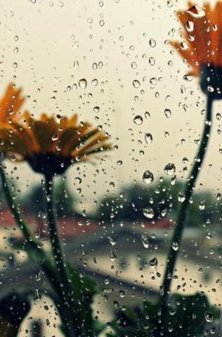 Duboiscky Gen On Rain Wallpaper Rainy