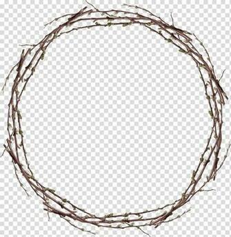 Round Of Plant Stems Twig Twigs Ring Transparent Background Png
