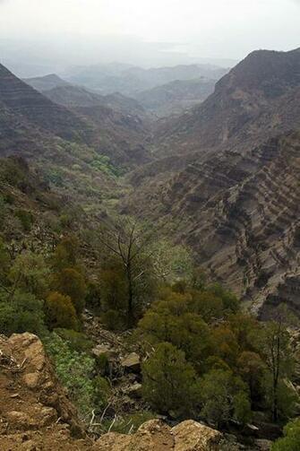 Day Forest Goda Mountains Wondermondo