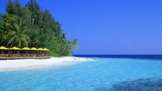 Beach Wallpaper Pictures Photos Image