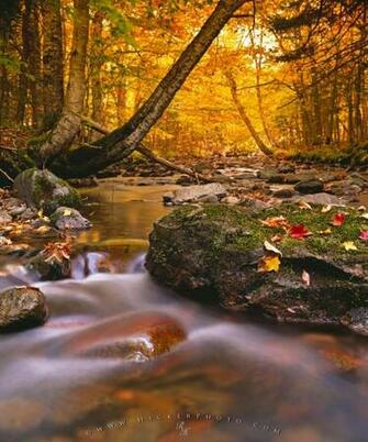Wallpaper Background Fall Scene Cape Breton Nova Scotia