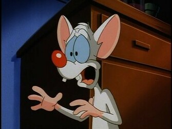 Pinky And The Brain