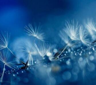 High Res Leaked Htc Sense Wallpaper From All New One