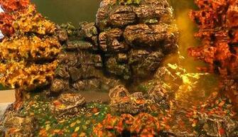 Lizard Care And Fake Rock Wall Landscapes