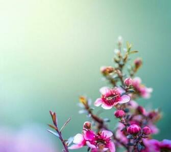 High Res Leaked Htc Sense Wallpaper From All New One