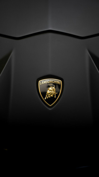 Lamborghini Logo Pictures Image