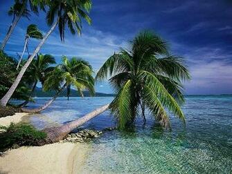 World Visits Tropical Island In Germany Cool Photos