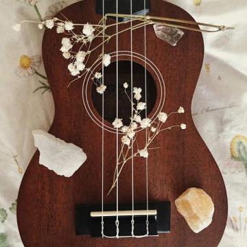 Ukulele Aesthetics Amino