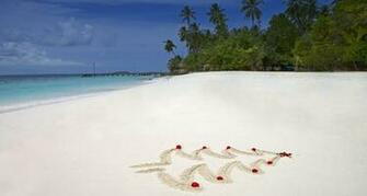 Image Source Via Wallpaperer