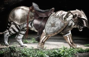 Wallpaper Armor Tiger Predator Warrior Tora Image For Desktop