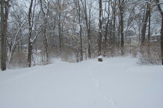 Snowy Background One By Hyannah77 Stock