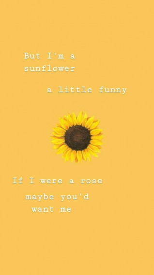 Awesome Sunflower Quotes Wallpaper