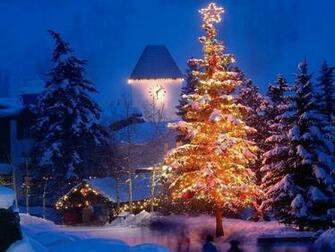 Beautiful Christmas Tree Wallpaper Background Desktop