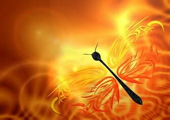 Best Butterfly Beautiful Wallpaper