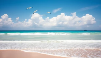 Ocean Wallpaper