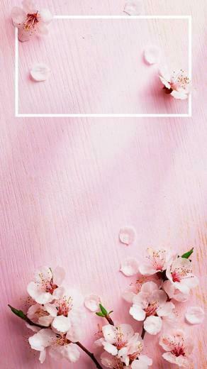Take The Shocking Rose Gold iPhone Plus Wallpaper Marvelous