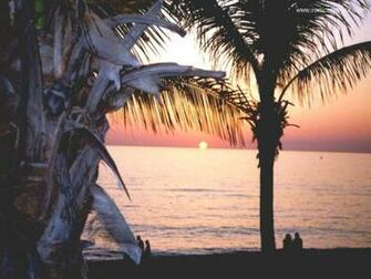 Venice Florida Desktop Wallpaper
