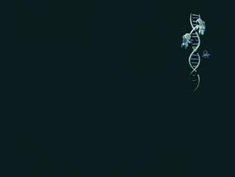 Separated Source Submit Wallpaper Full HD
