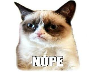 Cat Meme Quote Funny Humor Grumpy Wallpaper
