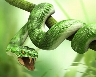 Snake Wallpaper Desktop