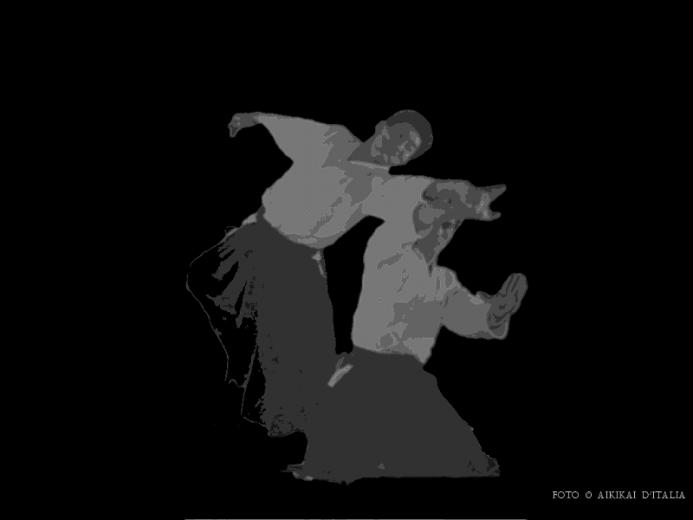 Aikido Wallpaper
