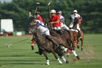 Polo Match Wallpaper