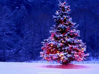 Desktop Wallpaper Christmas Tree Lock Screen Appealing