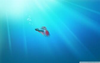 Portada Windows Fish HD Tecnolog A Imagenes Gratis