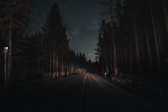 Forest Road At Night Pictures Image