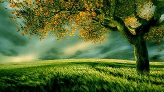 Famous Quotes About Nature Quotationof New