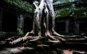 Angkor Wat Temple Cambodia Wallpaper