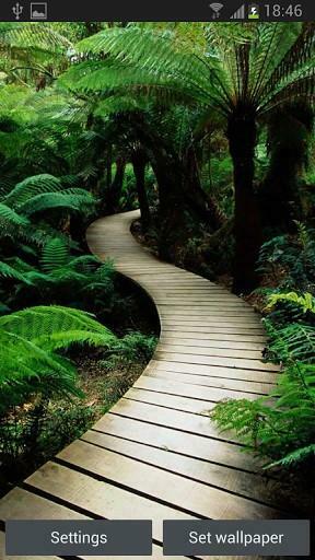 Bigger Htc One Live Wallpaper For Android Screenshot