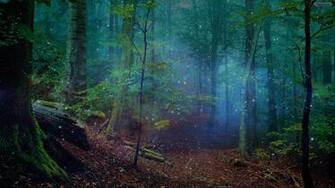 Forest Image Flip Wallpaper HD