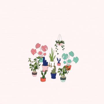 Urban Jungle Pot Plant Desktop Wallpaper Make And Tell