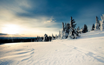White Wonderful Winter Season Wallpaper