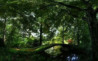 To Wallpaper Just Right Click On Pictures And Select Save
