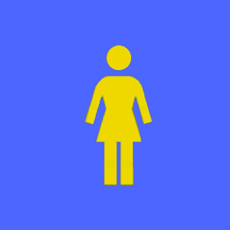 Girl Skateboard Logo Wallpaper