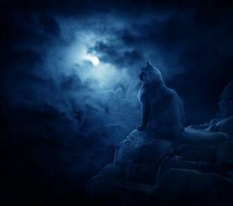 Moon Cat Wallpaper By Angelgirl56 Deviantart