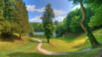 Woodland Path Windows Desktop HD Wallpaper
