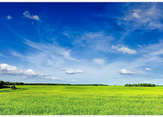 Wall26 Spring Summer Background Green Grass Field Meadow