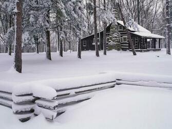 Winter Wonderland Dreamy Snow Scene Wallpaper No