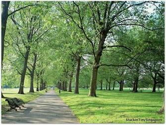 Green Park