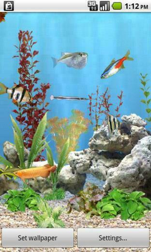 Aquarium Live Wallpaper For Your Android
