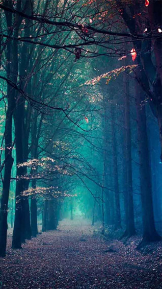 Best Image About Phone Wallpaper iPhone