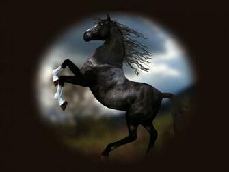 Horses Wallpaper Archive Black Horse Standing Portrait