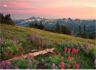 Natural Scenery Desktop Wallpaper Powerpoint