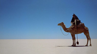 Lawrence Of Arabia Wallpaper Favorite Film Scenes